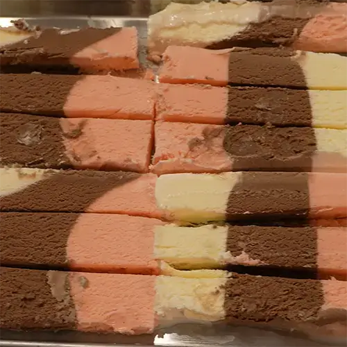 Several pieces of frozen Neapolitan ice cream bars on a medium Harvest Right freeze dry tray. 