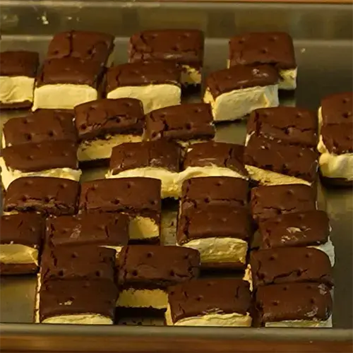 Several bite sized pieces of freeze dried ice cream sandwiches spaced out on a medium Harvest Right freeze dry tray.