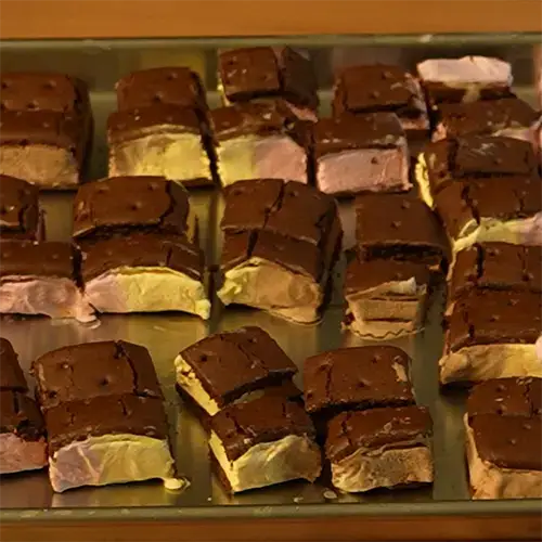 Several bite sized pieces of freeze dried Neapolitan ice cream sandwiches spaced out on a medium Harvest Right freeze dry tray.