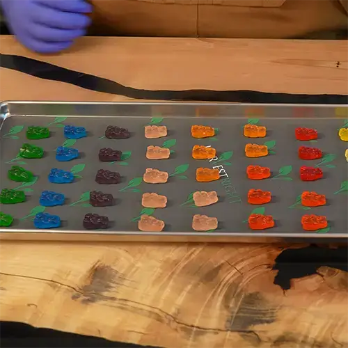 Columns of 5 gummy bears sorted by color across a medium harvest right freeze dryer tray.