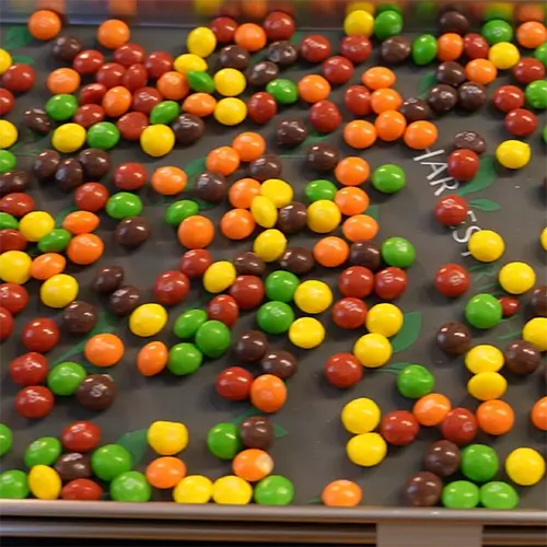A medium harvest right freeze drying tray covered in Skittles ready to go into the freeze dryer.