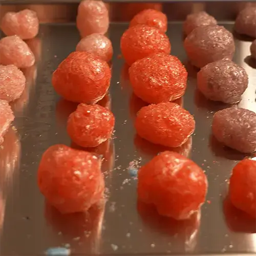 A close up of rows of colorful freeze dried Jolly Ranchers placed neatly on a medium Harvest Right freeze dryer tray.