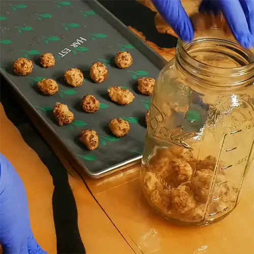 A tray of freeze dried Milk Duds next to a mason jar being filled with freeze dried Milk Duds.