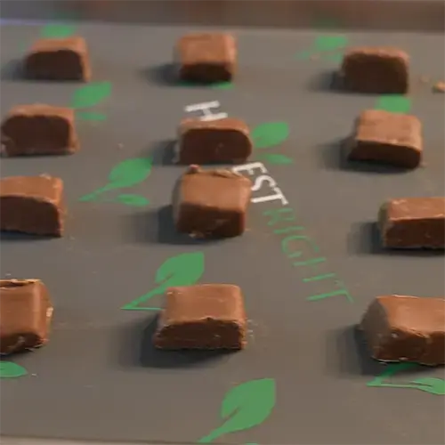 12 Snicker mini halves placed neatly on a Harvest Right freeze dryer tray. 