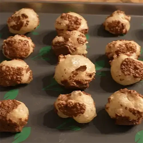 12 freeze dried Snicker mini halves placed neatly on a Harvest Right freeze dryer tray.