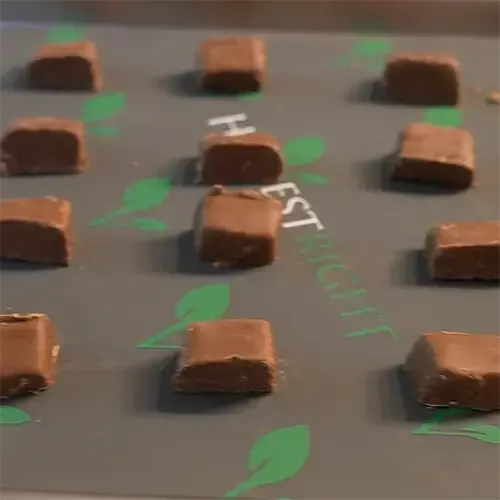 12 Snicker mini halves placed neatly on a Harvest Right freeze dryer tray. 